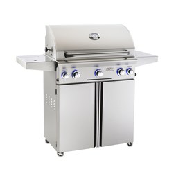  RH-Peterson American-Outdoor-Grill-L-Series-Grill 30PCL 1075167
