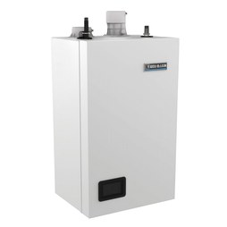 Weil-McLain 383200000 Water Boiler