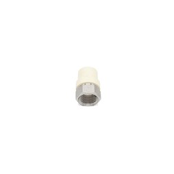  CTS-CPVC-Fittings Adapter 1FASS 463984