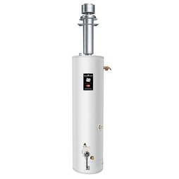  Bradford-White Water-Heater RG2DVMH30T6X 520818
