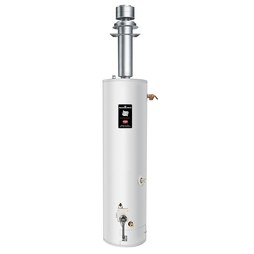  Bradford-White Water-Heater RG2DVMH40T6X 520819