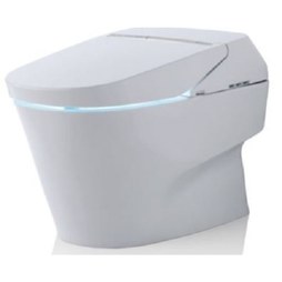  Toto Neorest-750H-Toilet-Bowl CT993CUMFX01 533242