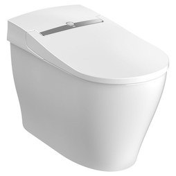  DXV AT200LS-Toilet-Bowl D29030CS416-415 639470