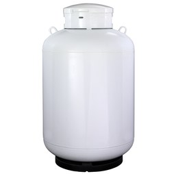 LP Cylinders