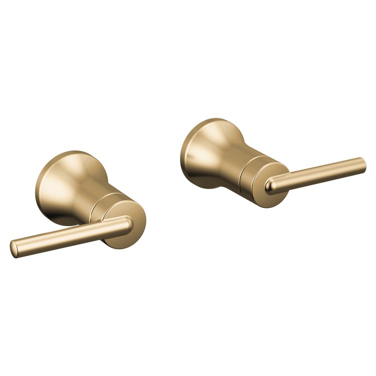 Delta H557 Handle Kit