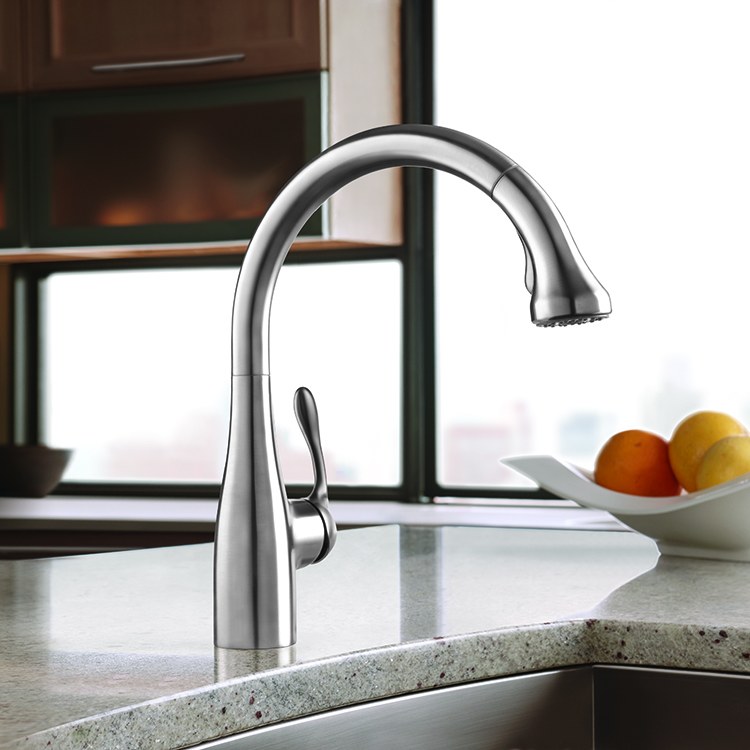 Hansgrohe 04066 Kitchen Faucet