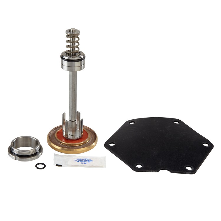 Watts Regulator LFRK909-VT21/2-3 Repair Kit