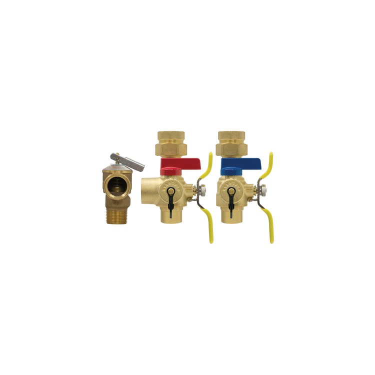 Webstone H-54443WPR-LF Tankless Valve Kit