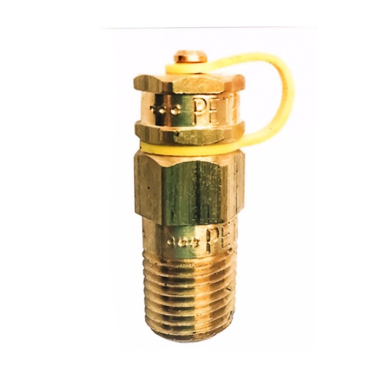 BW41 Pressure Snubber 1/4" Brass 