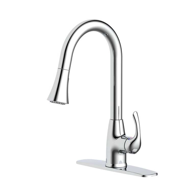 PurePro 20PB036-027 Kitchen Faucet