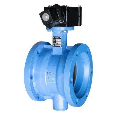 Waterworks Butterfly Valves