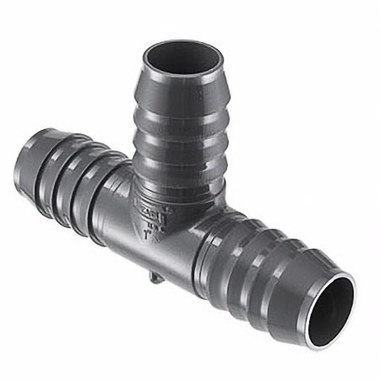 227006.jpg