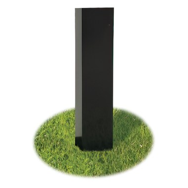 437393.jpg