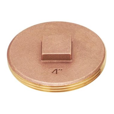 445574.jpg