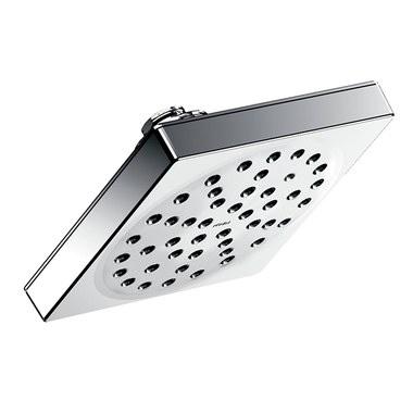490782.jpg