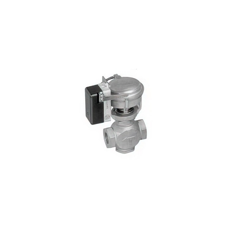  Diaphragm