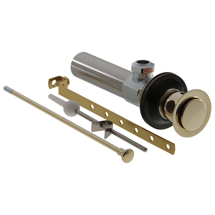 Drain Assembly