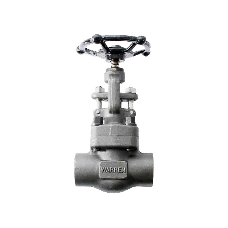 Globe Valve