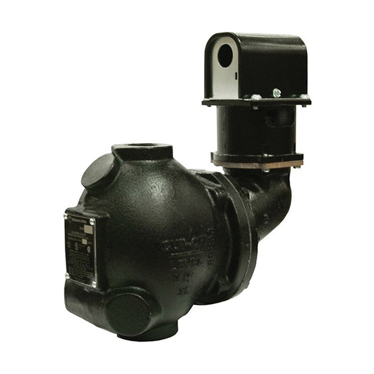 Low Water Cut Off Control