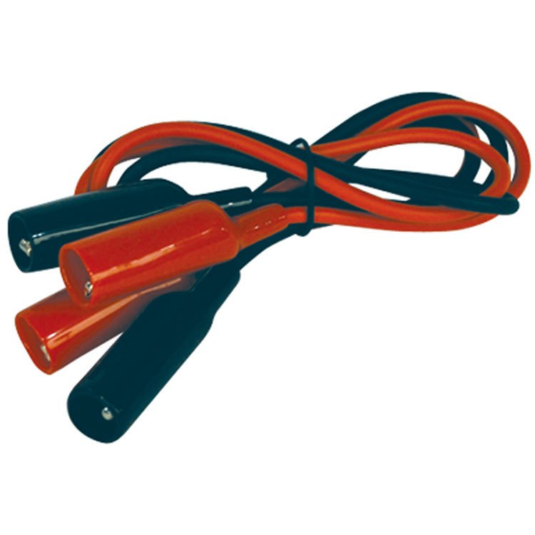 Test Lead