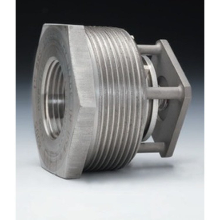 Check Valve