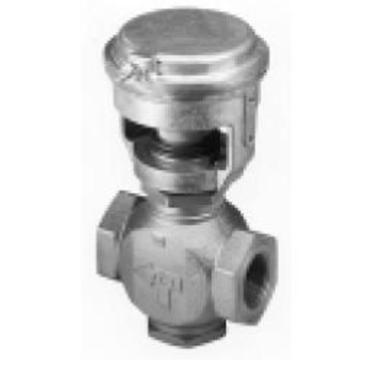 Globe Valve