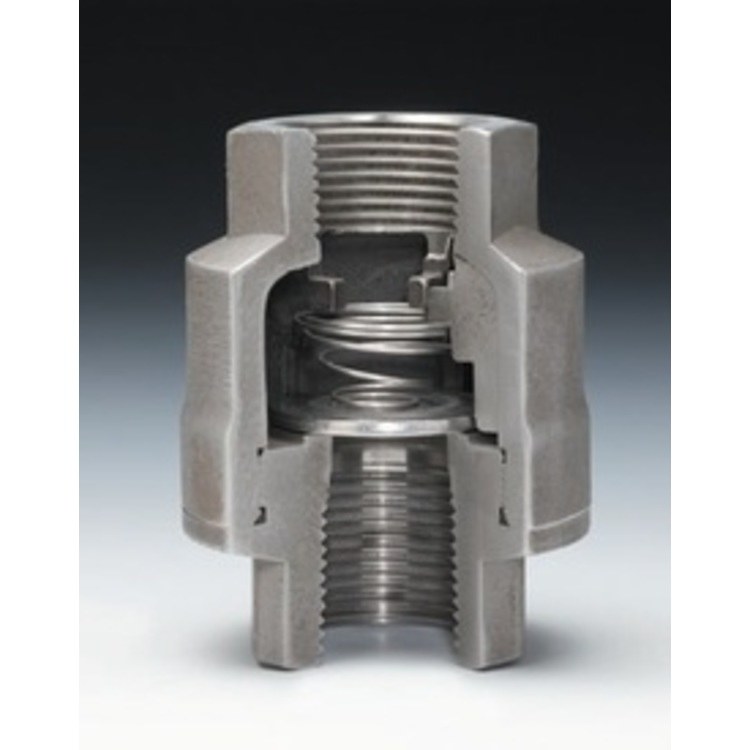 Check Valve
