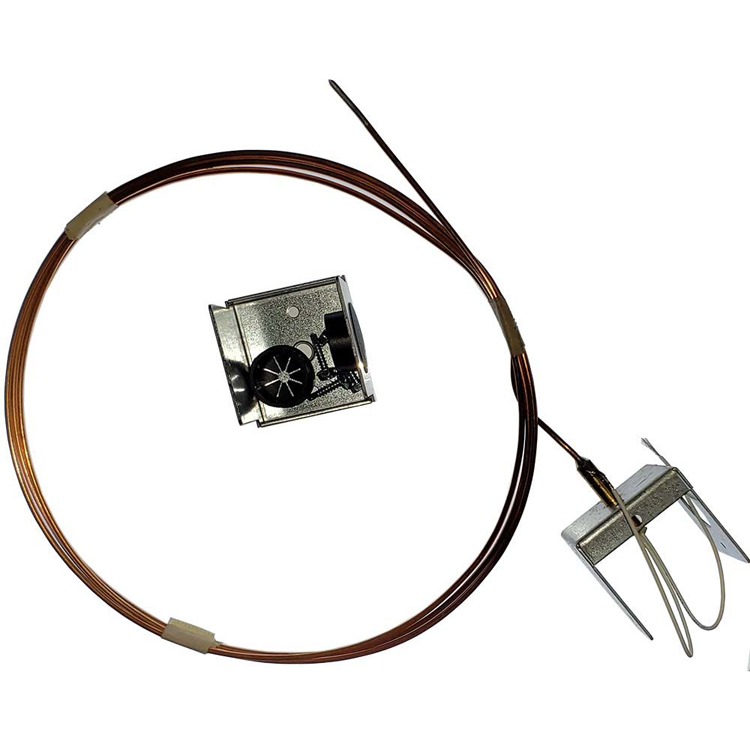 Temperature Sensor