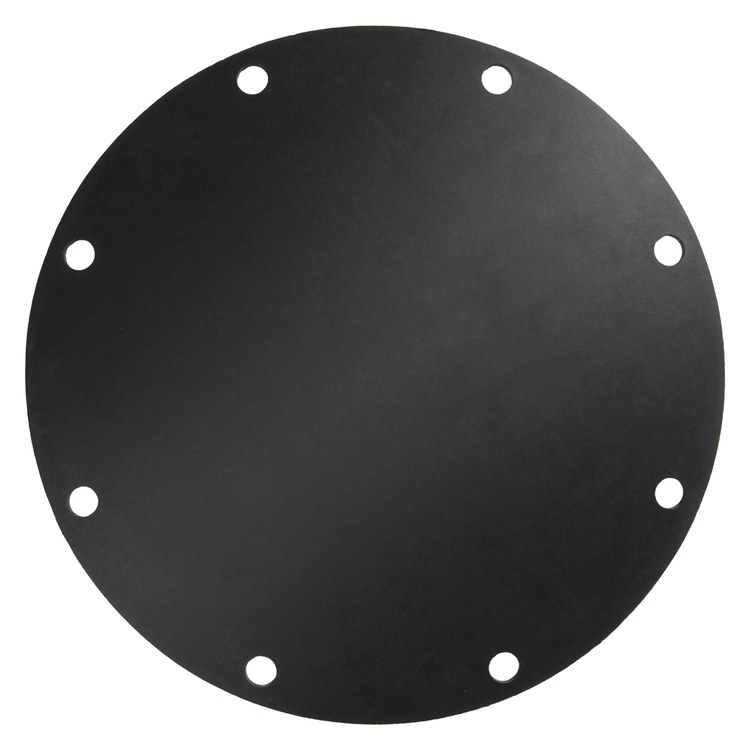  Diaphragm
