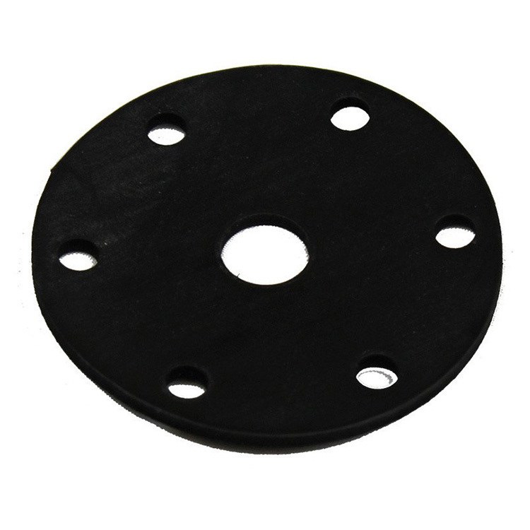  Diaphragm