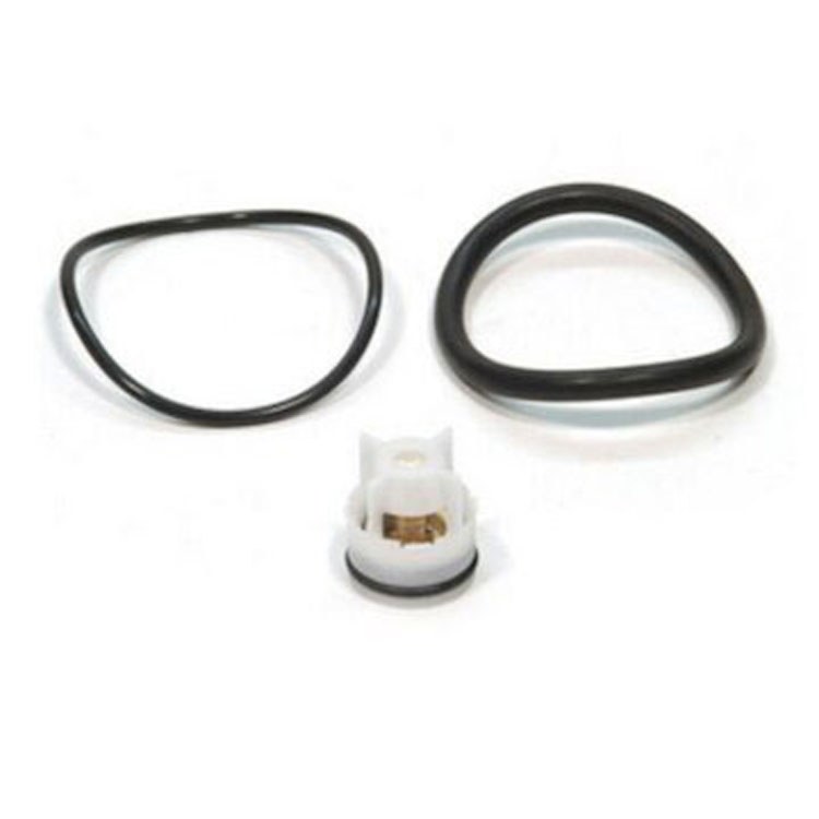 Flow Check Valve