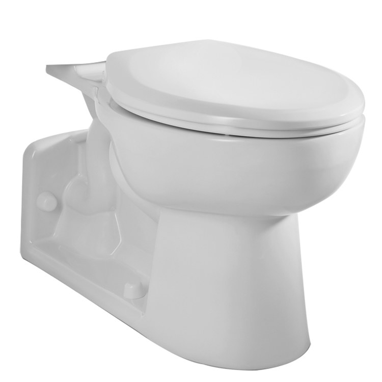 Toilet Bowl