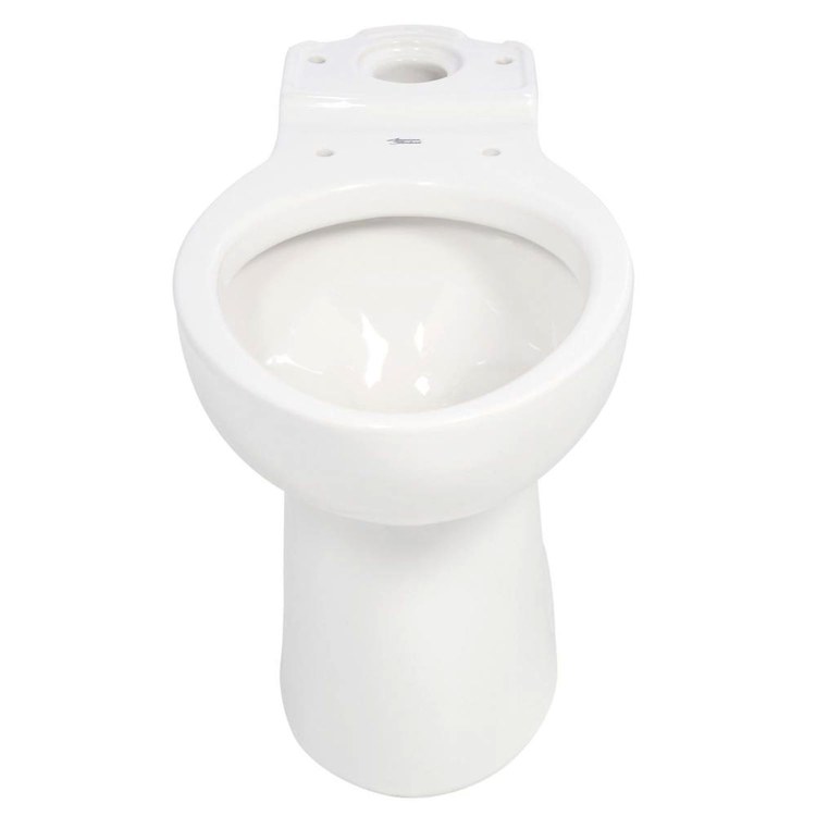 Toilet Bowl