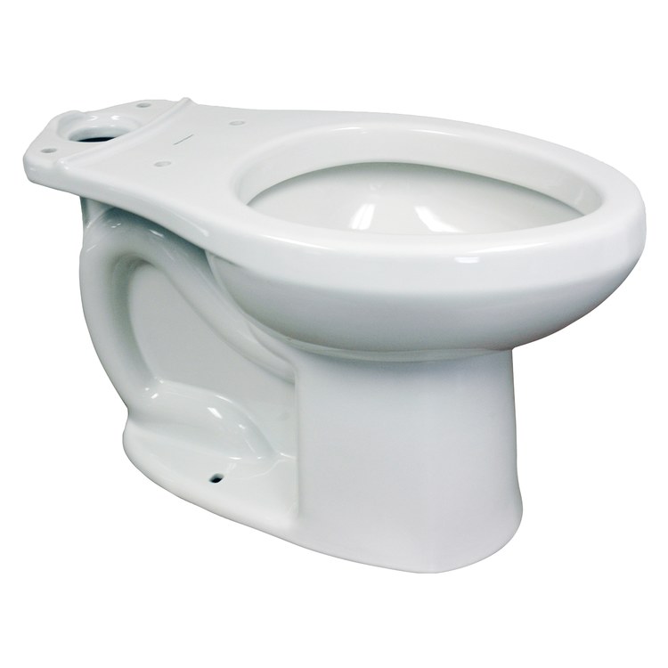 Toilet Bowl
