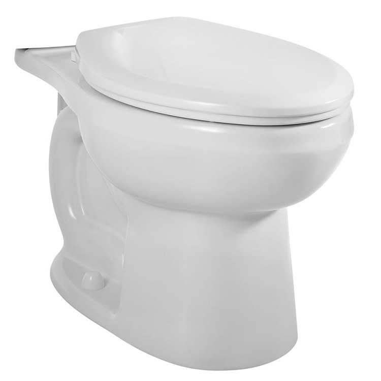 Toilet Bowl
