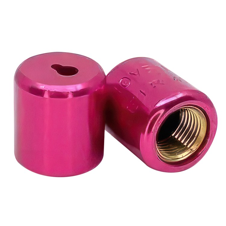 Refrigerant Cap