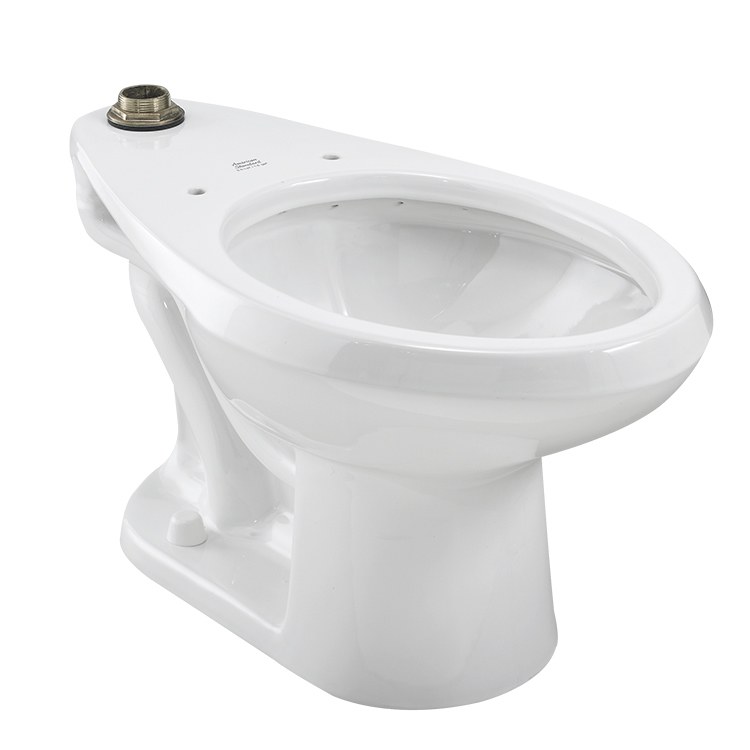 Toilet Bowl