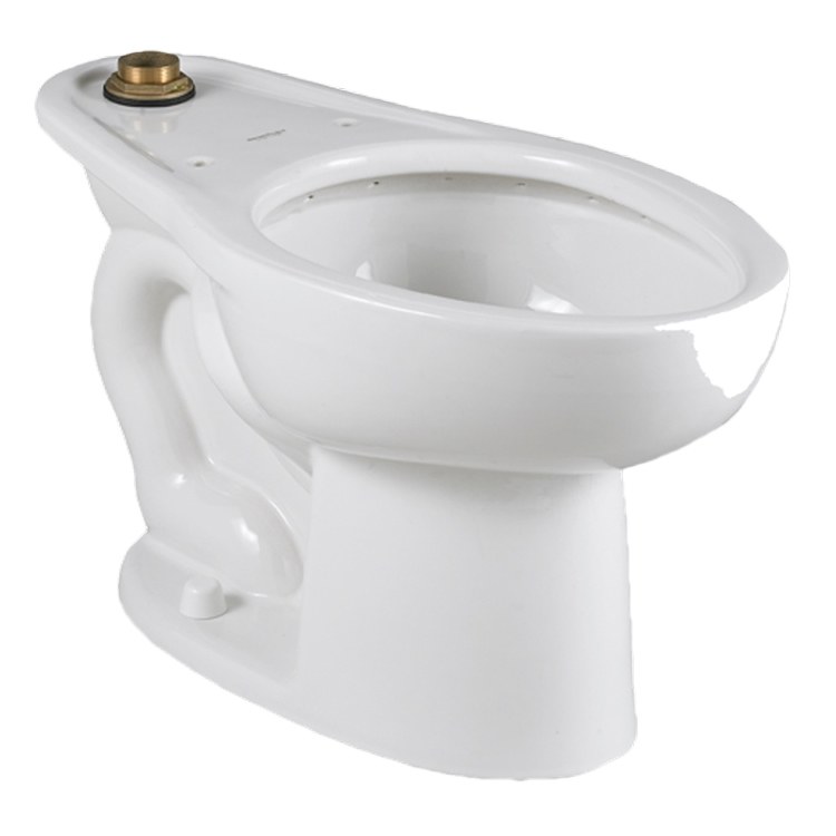 Toilet Bowl
