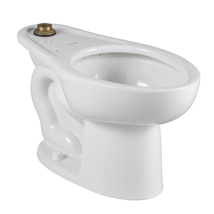 Toilet Bowl