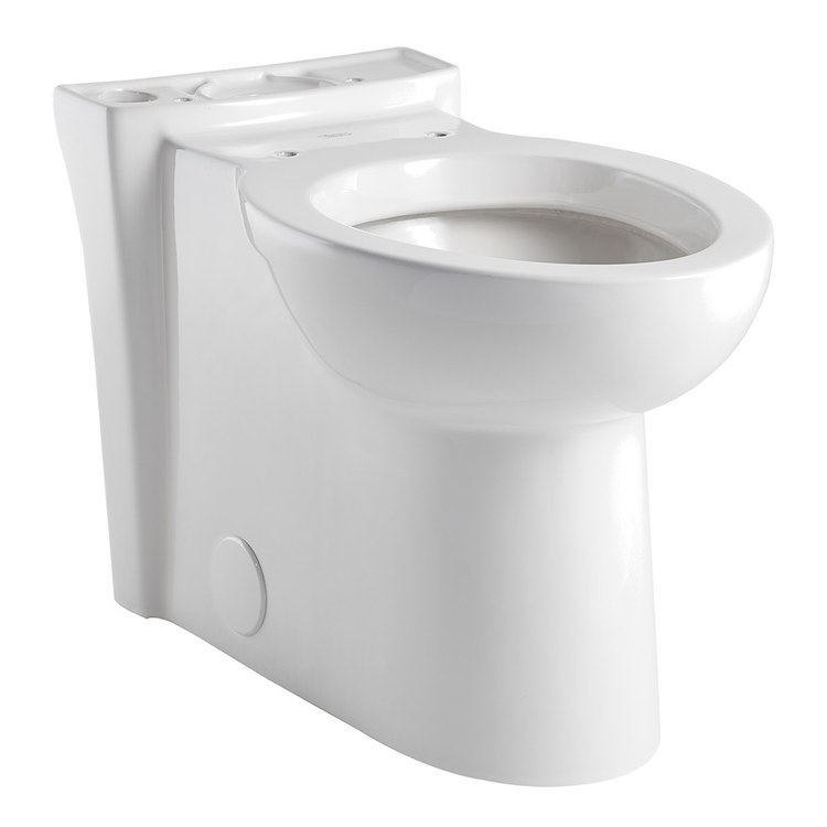 Toilet Bowl