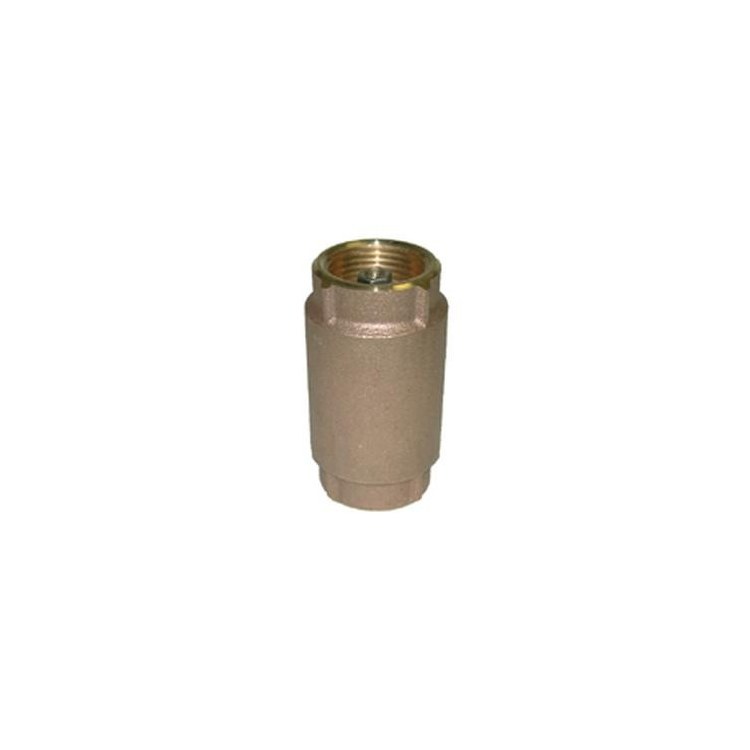 Check Valve
