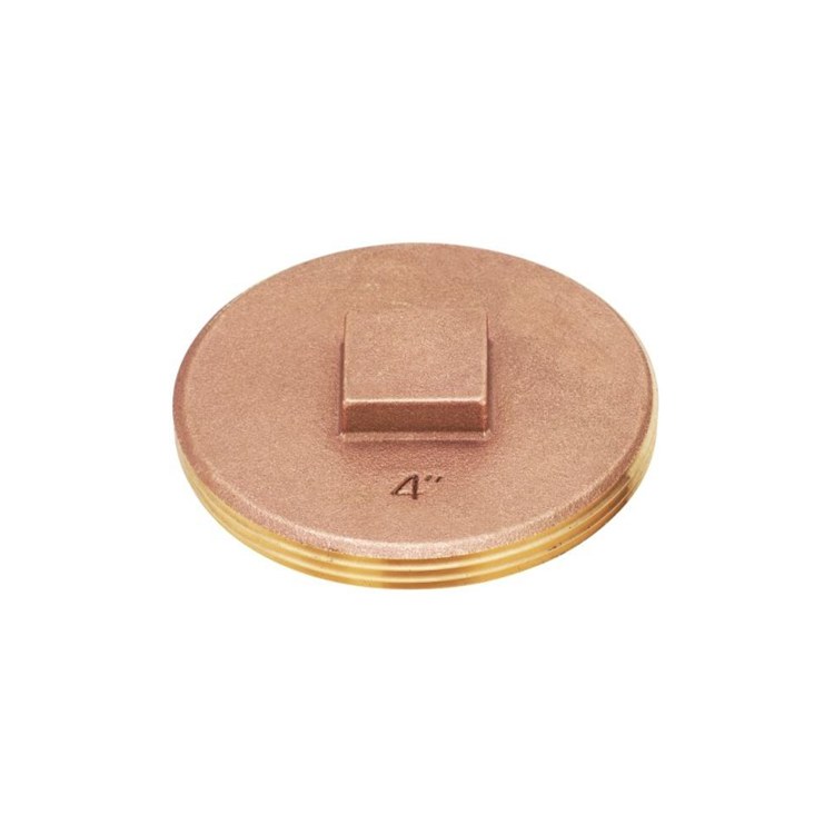 Cleanout Plug