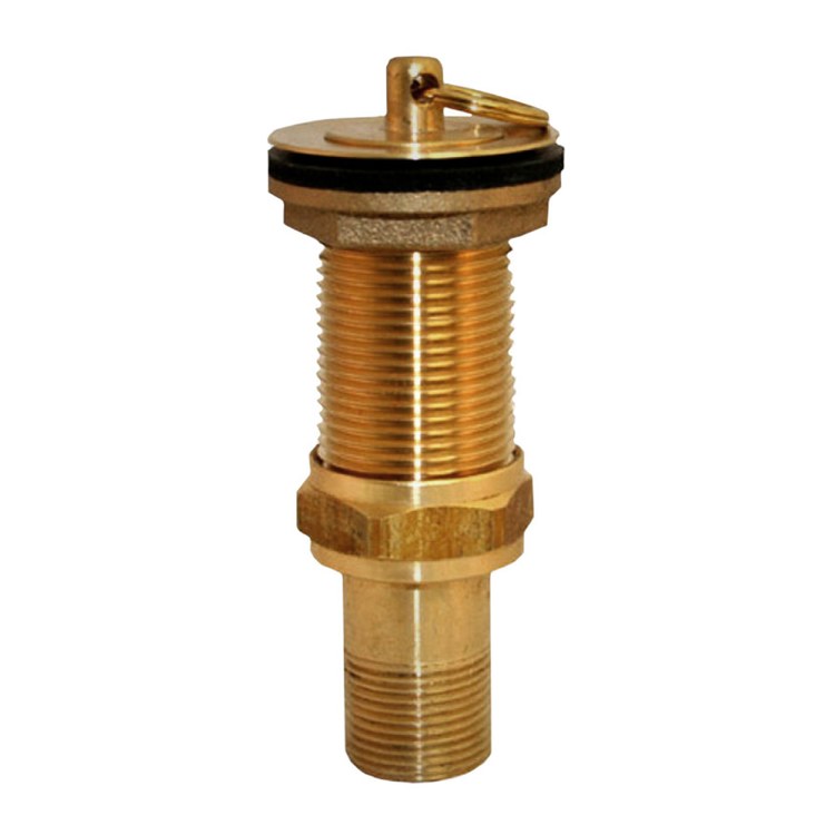 Cleanout Plug