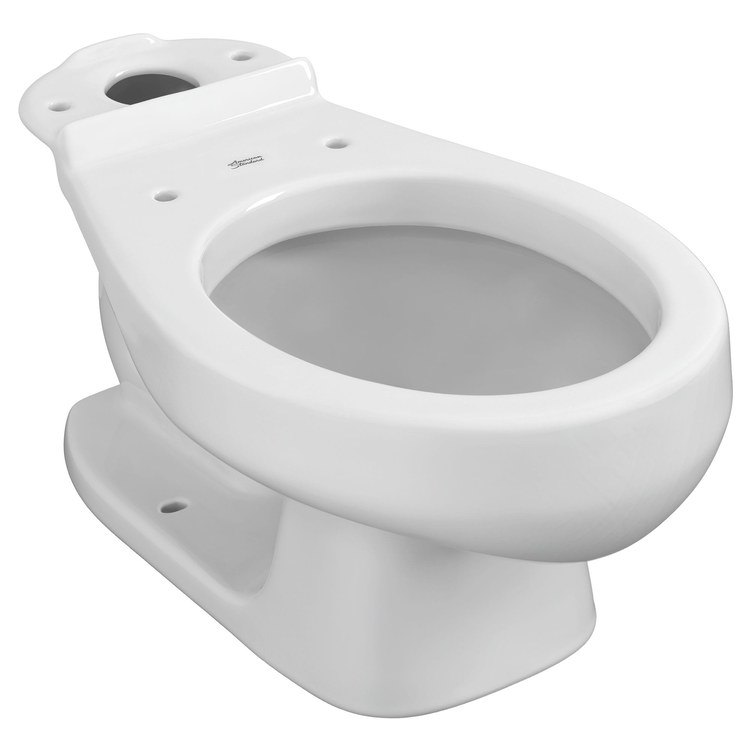 Toilet Bowl