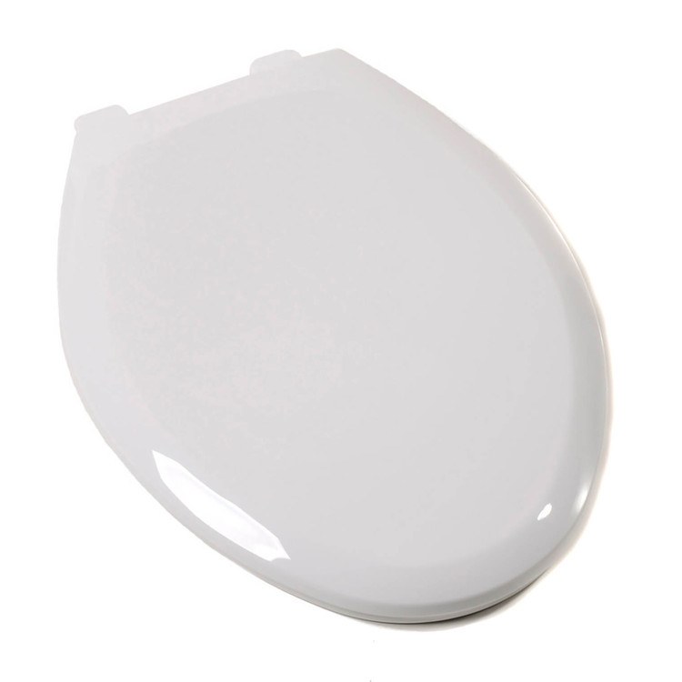 Toilet Seat
