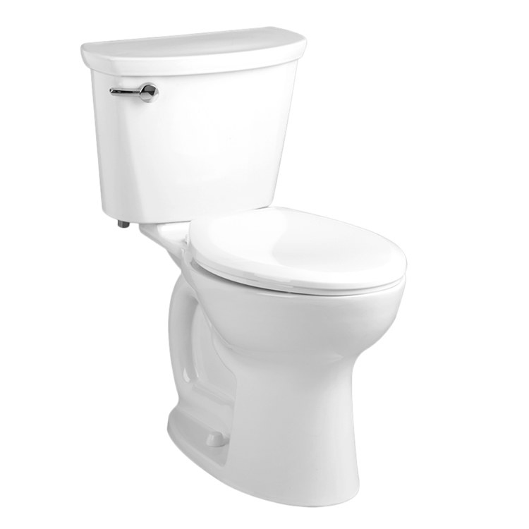 Toilet Bowl