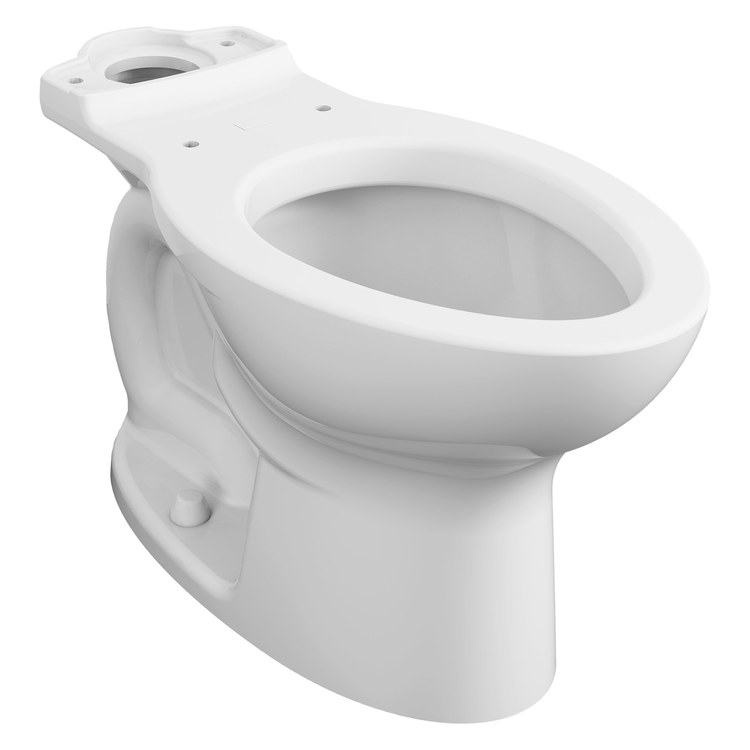 Toilet Bowl
