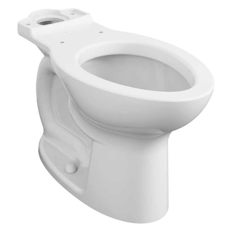 Toilet Bowl