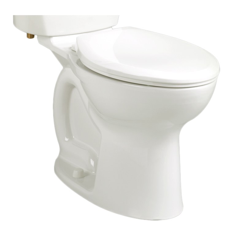 Toilet Bowl