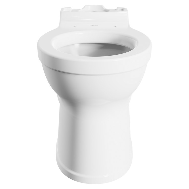 Toilet Bowl